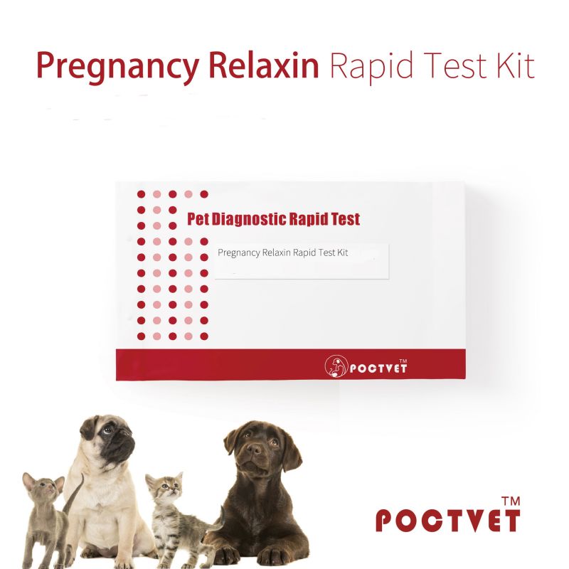 Canine Early Pregnancy Relaxin Rapid Test Kit