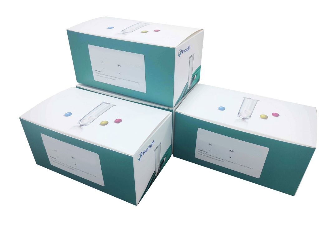 Total Triiodothyronine (TT3) Test Kit ESCORIAL, S. L.