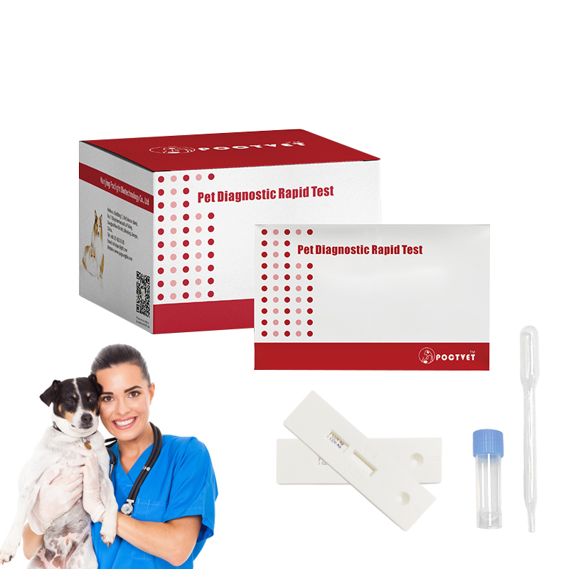 Leptospira Ag Rapid Test