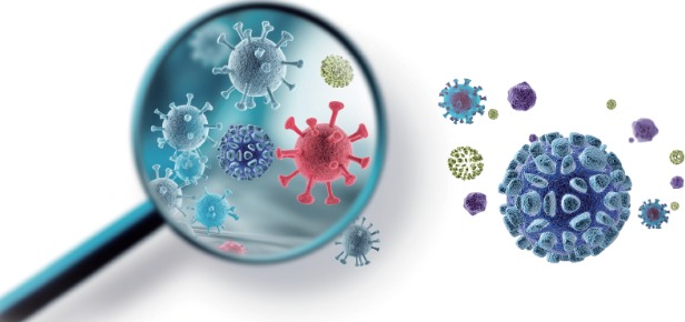 Inflammation Bacteria Virus