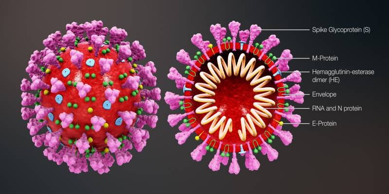 Coronavirus disease (COVID-19 / SARS-CoV-2)