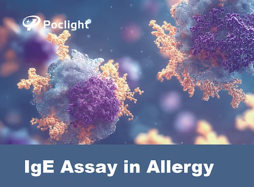 Poclight IgE Assay: Accurate Insights into Allergic Diseases